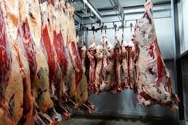 Volume exportado de carne bovina encerra m�s de abril/23 com 110,3 mil toneladas