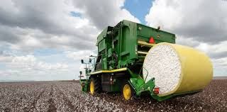 FAO: produ��o mundial de carnes sofre retra��o ap�s duas d�cadas de expans�o