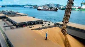 EUA compram soja brasileira ap�s queda de pre�o