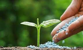 Poder de compra de adubos pelo agricultor tem melhor n�vel em 21 meses