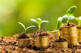 Cr�dito rural alcan�a R$ 267 bilh�es em nove meses