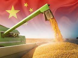 China avan�a em compras antecipadas do milho safrinha do Brasil