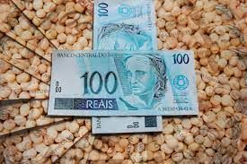 Soja: Mercado em Chicago segue operando com leves ganhos