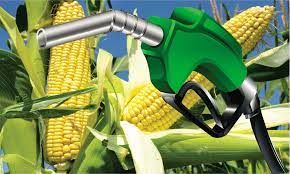 Produ��o de etanol a partir de milho cresce mais de 1000% no Brasil em seis anos