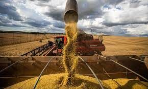 Aumento de 20,6% na produ��o de soja impulsiona safra de gr�os,