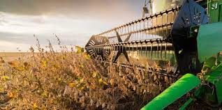 Soja tem menor valor desde 2021 com avan�o da colheita no Brasil, diz Cepea