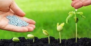 Momento � favor�vel para comprar fertilizantes