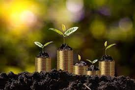 Libera��o do cr�dito rural supera R$ 239 bilh�es em oito meses