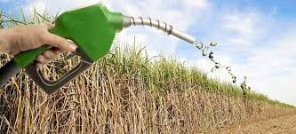 Etanol mostra que agro � solu��o �s mudan�as clim�ticas