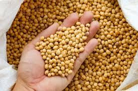 Brasil eleva ritmo de exporta��o de soja na 3� semana de mar�o, diz governo