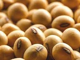 Expectativas para o USDA de abril indicam redu��o nos estoques dos EUA