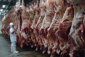 Pre�o do boi gordo em Mato Grosso cai e da vaca aumenta