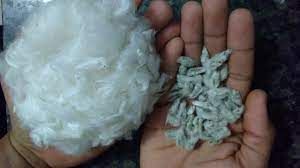 Caro�o de algod�o recua 23,49% no mercado dispon�vel em MT