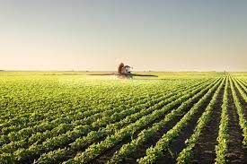 Ipea mant�m previs�o de crescimento de 11,6% no PIB agropecu�rio em 2023