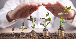 Mercado v� espa�o para seguro agr�cola voltar a crescer 30% em 2023