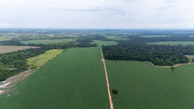 MT Clima e Mercado ouve produtores rurais de tr�s munic�pios da Regi�o Norte no primeiro epis�dio da semana