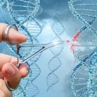 Nanobiotecnologia deve modernizar agricultura