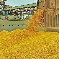 China compra soja americana apoiada pelo Estado