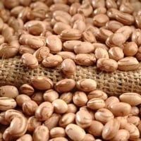 Brasil exporta maior volume de feij�o em cinco safras