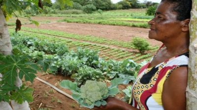 A salva��o dos pobres do Brasil rural neste per�odo de pandemia
