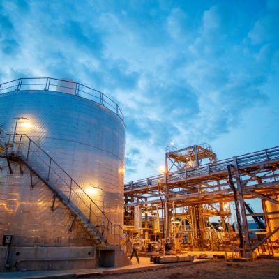 Processamento de soja cresce e aponta para desempenho recorde