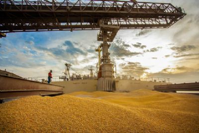 �Brasil, maior exportador de milho do mundo, vai ter falta do gr�o em 2020�