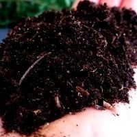 Novo m�todo avalia o perigo de chumbo no solo