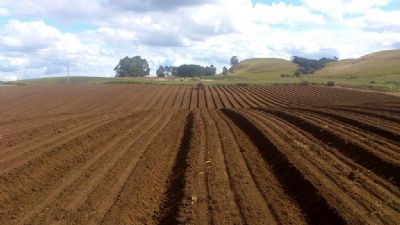 Solos constru�dos s�o a garantia de grande safra