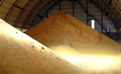 EXCLUSIVO-Plantas argentinas de farelo de soja sofrem corte no suprimento de gr�os