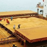 Pre�os de exporta��o da soja retomam caminho de alta