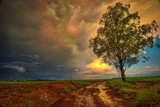 Outono pode ter fraca incid�ncia do El Ni�o, prev� Inmet