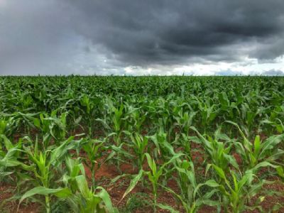 At� onde as chuvas s�o benef�cio para a regi�o do Xingu?