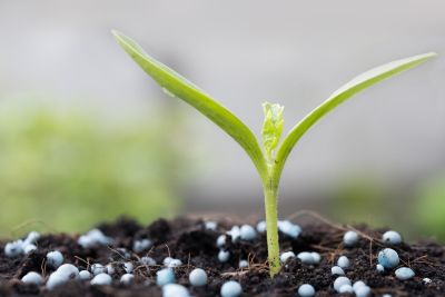 StoneX estima avan�o 6% das entregas de fertilizantes em 2021