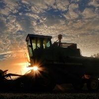 FMC acompanha a evolu��o e os resultados das safras de soja e milho em todo o pa�s