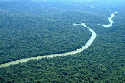 Embrapa: Alimentar o planeta com sustentabilidade depender� de inova��o