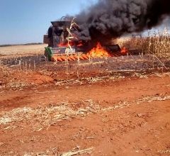 Campanha orienta produtores para reduzir riscos de inc�ndio durante colheita do milho