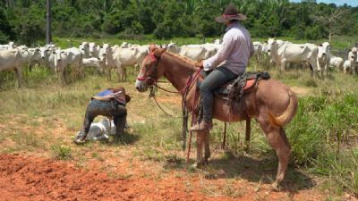Renda dos trabalhadores da agropecu�ria foi a que mais cresceu nos �ltimos dez anos