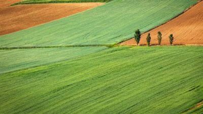 Fiagro cai no gosto do mercado com ganhos acima do CDI e fomento ao agroneg�cio