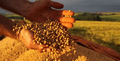 Fatores negativos � frente recomendam venda da soja