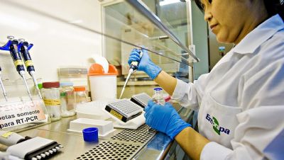 Embrapa identifica mais uma planta invasora resistente ao glifosato