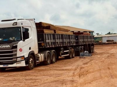 Paralisa��o de sistemas do Ibama e da Sema causa preju�zos de quase R$ 60 milh�es ao setor florestal de MT