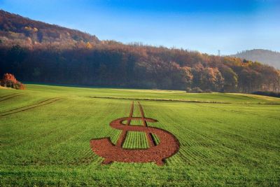 Plano Safra: Sicredi deve liberar quase R$ 23 bilh�es para cr�dito rural