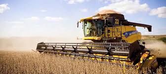 Pre�o da soja brasileira segue em queda