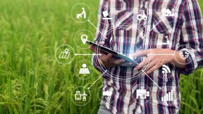 Pesquisa e tecnologia fazem o pa�s bater recorde na exporta��o agr�cola