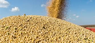 Produtividade recorde