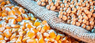 Exporta��o de gr�os do Brasil deve acelerar com menos chuvas no centro-sul