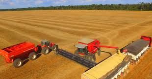 Soja, pre�o em baixa