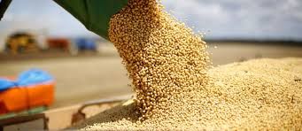 Justi�a defere recupera��o judicial de grupo em MT ap�s d�vida de quase R$ 1 bi