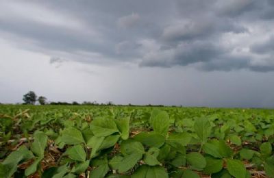 Chuvas se concentram na faixa Central do pa�s com previs�o de volumes acima da m�dia at� o pr�ximo dia 12/12