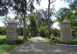 Pesquisas do IZ contribuem para a redu��o da emiss�o de metano com a pecu�ria sustent�vel